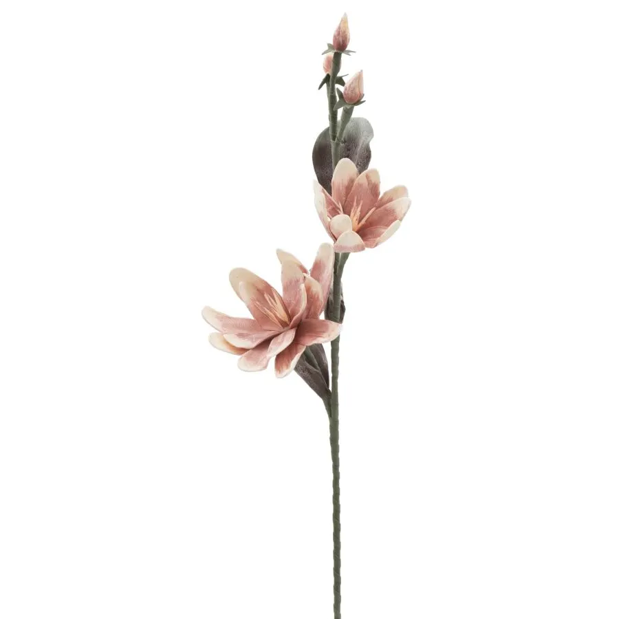 MAGNOLIA X2 POMARAŃCZOWY Ø 25X98 MIN 12 cm